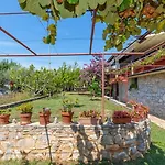 Studio Apartment Paljar