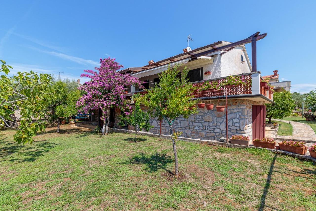 Apartman Paljar *