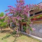 Studio Apartment Paljar