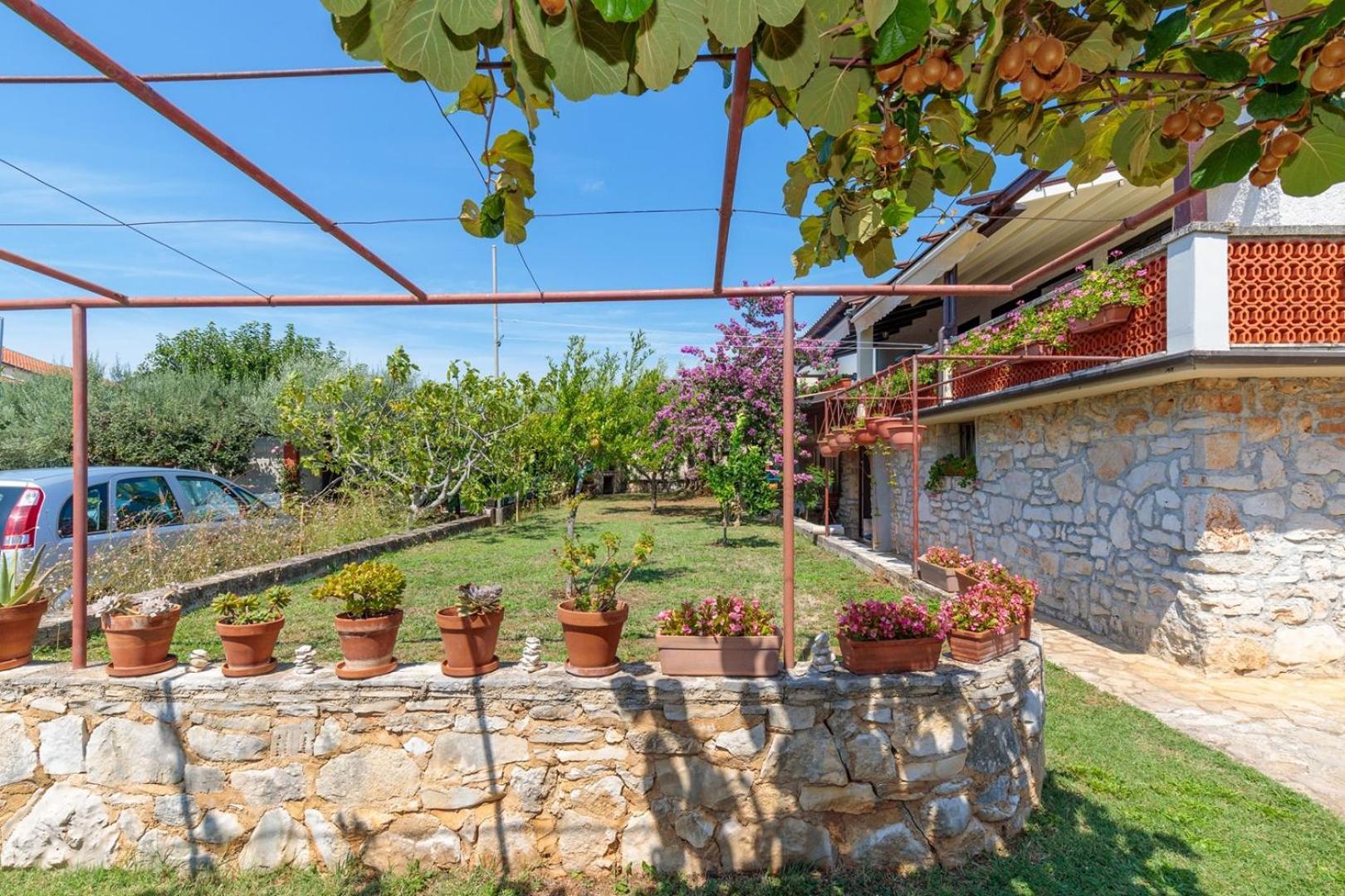 Paljar * Porec